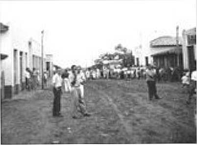 INICIO DE POPULINA, POR DANIEL TOSTA GARCIA - POPULINA - SP